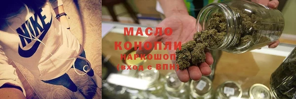 индика Пестово