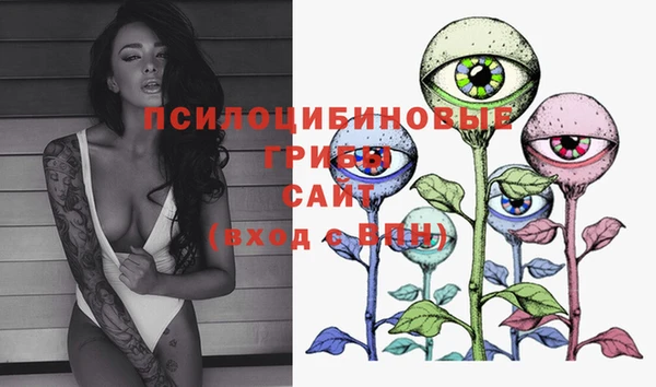индика Переславль-Залесский