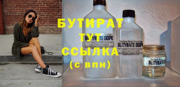 индика Пестово