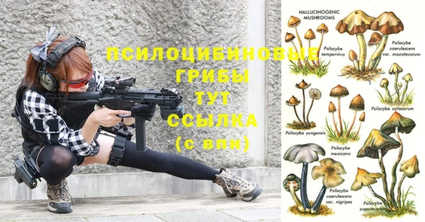 бутират Пересвет