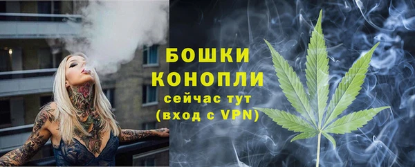 индика Пестово