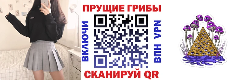 купить наркотики цена  Дальнереченск  Псилоцибиновые грибы Magic Shrooms 