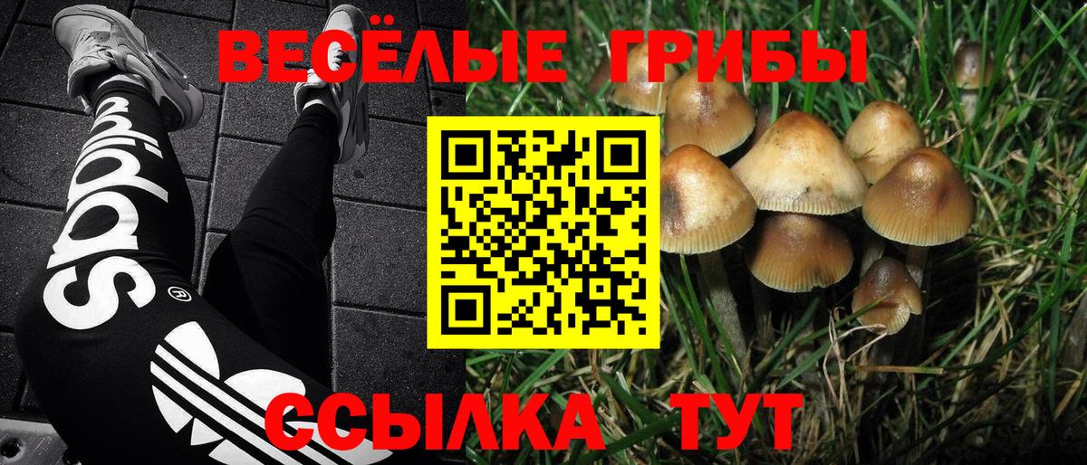 Псилоцибиновые грибы Psilocybine cubensis  Вход с VPN  купить наркоту  Дальнереченск 
