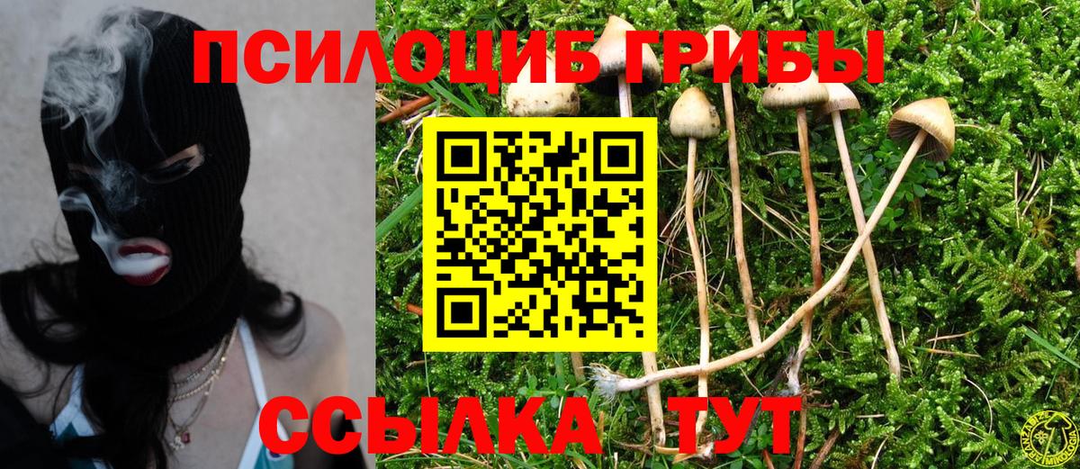 Галлюциногенные грибы Magic Shrooms Дальнереченск